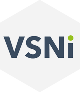 VSNi